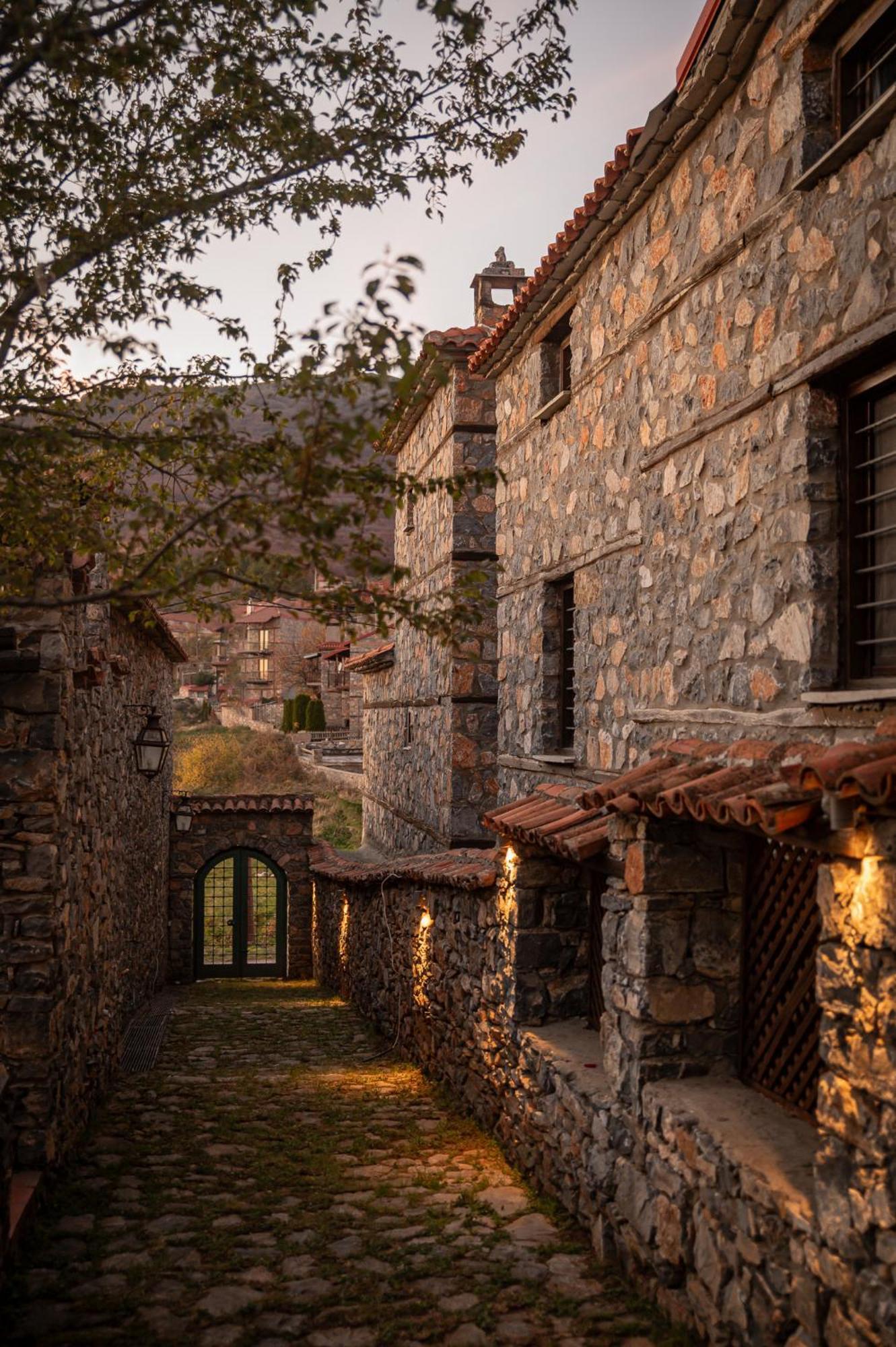 4 Seasons Premium Chalet Agios Athanasios  Dış mekan fotoğraf